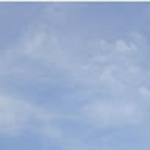 Meet your Posher, Laurel